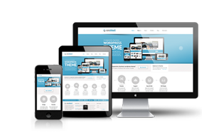 PC+移动端设计型套餐