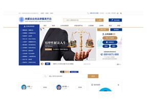 行业/门户/功能型网站